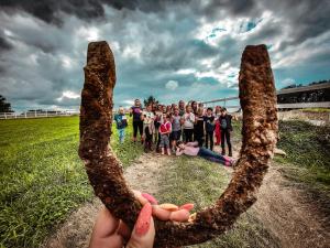 Hosté ubytování Agroturystyka Ranczo Gościszów
