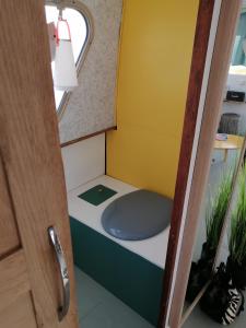 a small bathroom with a blue toilet in a room at Esprit Péniche in Nantes