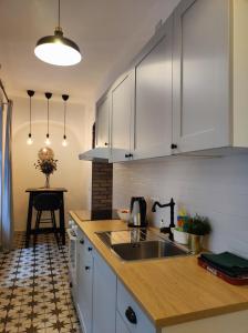 Kuchyňa alebo kuchynka v ubytovaní Studio apartment Frano