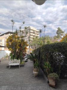 un parc avec un banc, des plantes et un bâtiment dans l'établissement Casa aconchegante em Vila Valqueire, à Rio de Janeiro