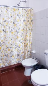 y baño con cortina de ducha, aseo y lavamanos. en Portal de las Viñas en Cafayate