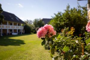 Giardino di Seepark Weiden - Baumhof