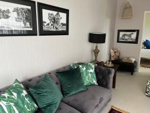 un soggiorno con divano grigio e cuscini verdi di Motubane Guest Farm a Madeteleli