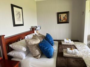 Un dormitorio con una cama con almohadas. en Motubane Guest Farm en Madeteleli