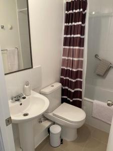 een badkamer met een toilet, een wastafel en een douche bij Departamentos Caldera Suites in Caldera