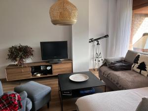 sala de estar con sofá y TV en Fantástico apartamento con vistas en Esterri, en Esterri d'Àneu