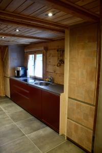 eine Küche mit einer Spüle und einer Arbeitsplatte in der Unterkunft Alpenchalet Piz Hüsli in Tschagguns