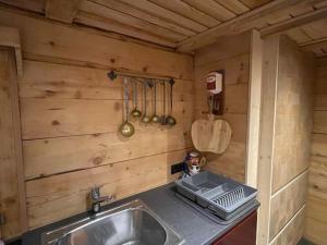 a kitchen with a sink in a wooden wall at Alpenchalet Piz Hüsli in Tschagguns