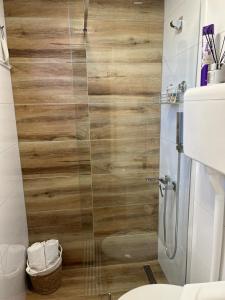 a shower with a glass door in a bathroom at Vila Xenos Loft Karakter Zlatibor in Zlatibor