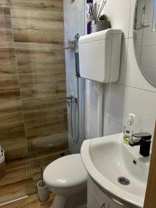a bathroom with a toilet and a sink and a shower at Vila Xenos Loft Karakter Zlatibor in Zlatibor