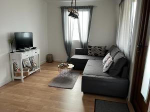 a living room with a couch and a tv at Vila Xenos Loft Karakter Zlatibor in Zlatibor