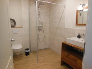 a bathroom with a shower and a toilet and a sink at Landhaus Huchatz in Burg