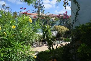 a garden with flowers and plants in front of a building at Très BEAU BUNGALOW,JARDIN TROPICAL, RENOVATION ETE 2020 in Playa del Ingles