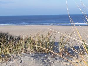 una playa con un poco de hierba alta y el océano en Seevilla Wietjes Whg 2, en Baltrum