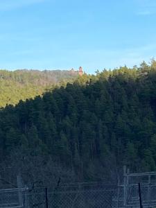 wzgórze z drzewami i ogrodzeniem w obiekcie Les volets bleus w mieście Sainte-Marie-aux-Mines
