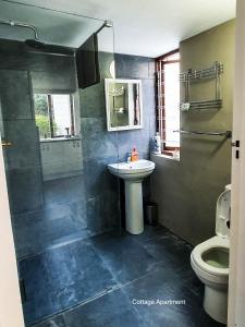 a bathroom with a sink and a shower and a toilet at Stay at Seodin in Wilderness