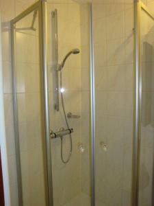 um chuveiro com uma porta de vidro na casa de banho em Apartment-Pahl em Wolfshagen