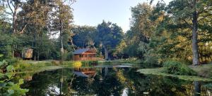 Gallery image of The Willow Cabin - Wild Escapes Wrenbury off grid glamping - ages 12 and over in Wrenbury