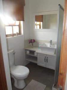 Łazienka z białą toaletą i umywalką w obiekcie Bo-Plaas Farmhouse w mieście Bredasdorp