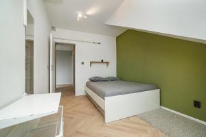 a bedroom with a bed and a green wall at Big 4-bedroom flat, terrace with great Vítkov view in Prague