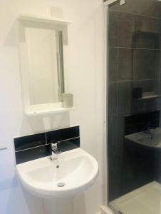 ein Badezimmer mit Waschbecken, Spiegel und Dusche in der Unterkunft Meadow Cottage. Pretty modern cottage close to Woolacombe and Lee in Ilfracombe