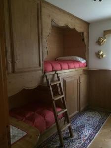 a bunk bed with a ladder in a room at Novità Booking a due passi dalla Ski Area in San Vito di Cadore