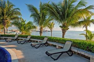 a row of benches with palm trees and the ocean at Amara, depa con vista al mar in Cancún