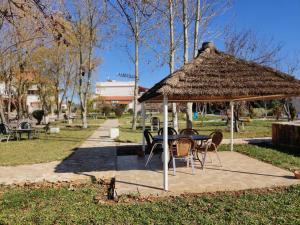 une table et des chaises sous un parasol de paille dans un parc dans l'établissement Le Vallon Vert - Club Equestre, à Azrou