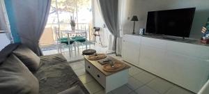 a living room with a couch and a flat screen tv at ISIS 2 Joli duplex avec loggia proche plage et port in Saint-Cyprien