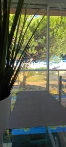 a table in a room with a window with a plant at ISIS 2 Joli duplex avec loggia proche plage et port in Saint-Cyprien