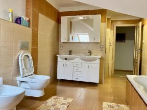 ein Badezimmer mit einem WC, einem Waschbecken und einem Spiegel in der Unterkunft Sebastian Apartments in Třeboň