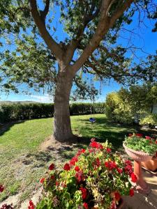 un albero e fiori davanti a un albero di Villino in Campagna con Piscina Relax - La Casa di Teresa a Campomarino