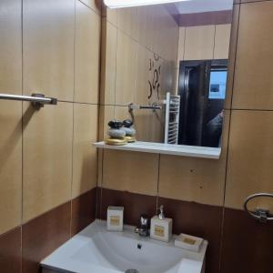 een badkamer met een wastafel en een spiegel bij Sky Studio in Constanţa