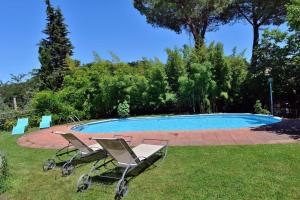 The swimming pool at or close to Molino in chianti