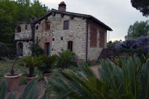 A garden outside Molino in chianti