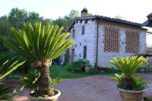 A garden outside Molino in chianti