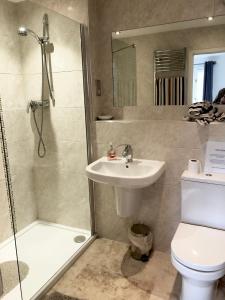 a bathroom with a shower and a sink and a toilet at 8 Oakridge, St Mellion in St. Mellion