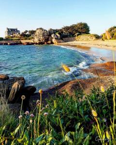 una playa con el océano y rocas y flores en Ty Rosa, en Plougonven
