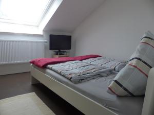 a bedroom with a bed with a window and a television at Alb-Biosphäre-Ferienwohnung in Ingstetten