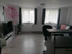 TV o dispositivi per l'intrattenimento presso Ubytování Dobešov