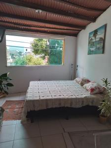 Cama en habitación con ventana grande en CACTUS KIT NET, en Salvador