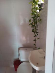 baño con aseo y planta en la pared en CACTUS KIT NET, en Salvador