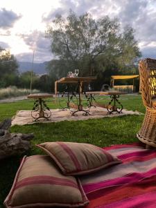 una mesa de picnic y una almohada de picnic en la hierba en Vieja Posada Hotel Histórico en Cafayate