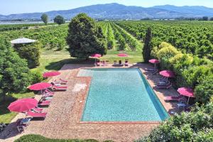 una piscina en medio de un viñedo con sillas y sombrillas en Foresteria Il Giardino di Fontarronco, en Alberoro