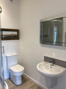 a bathroom with a white toilet and a sink at Sunny Nook, Pretty 1 bed modern cottage close to Woolacombe in Ilfracombe