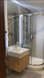 een badkamer met wastafel en douche bij Apartman Sara - DivčiNova in Divčibare