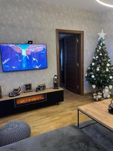 Een TV en/of entertainmentcenter bij Apartman Sara - DivčiNova

