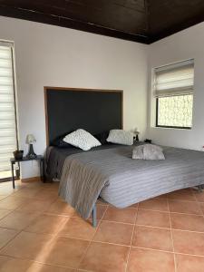 ein Schlafzimmer mit einem großen Bett in einem Zimmer in der Unterkunft Blue eagle Guesthouse in Santa Maria