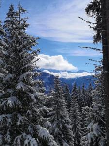 Fotografia z galérie ubytovania Chalet de montagne style savoyard, vue sur pistes v destinácii Châtel