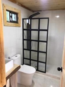 a bathroom with a white toilet and a black shelf at RAMAL LODGE CONSTITUCION in Constitución